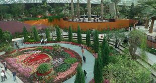 hình ảnh vườn thực vật flower dome tuyệt đẹp cho du lịch singapore năm 2017